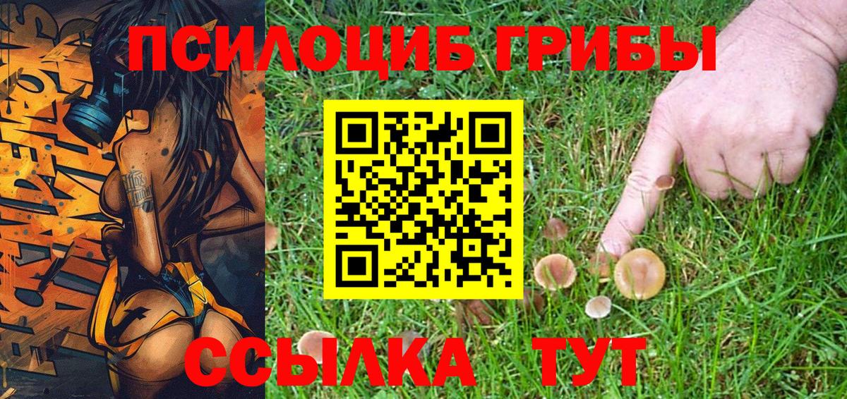 Белогорск  Галлюциногенные грибы Psilocybe  Галлюциногенные грибы Psilocybe  Вход с VPN 
